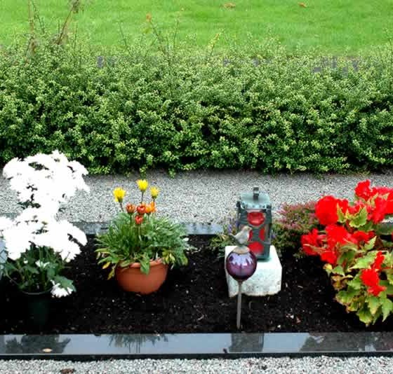 wrongful death law